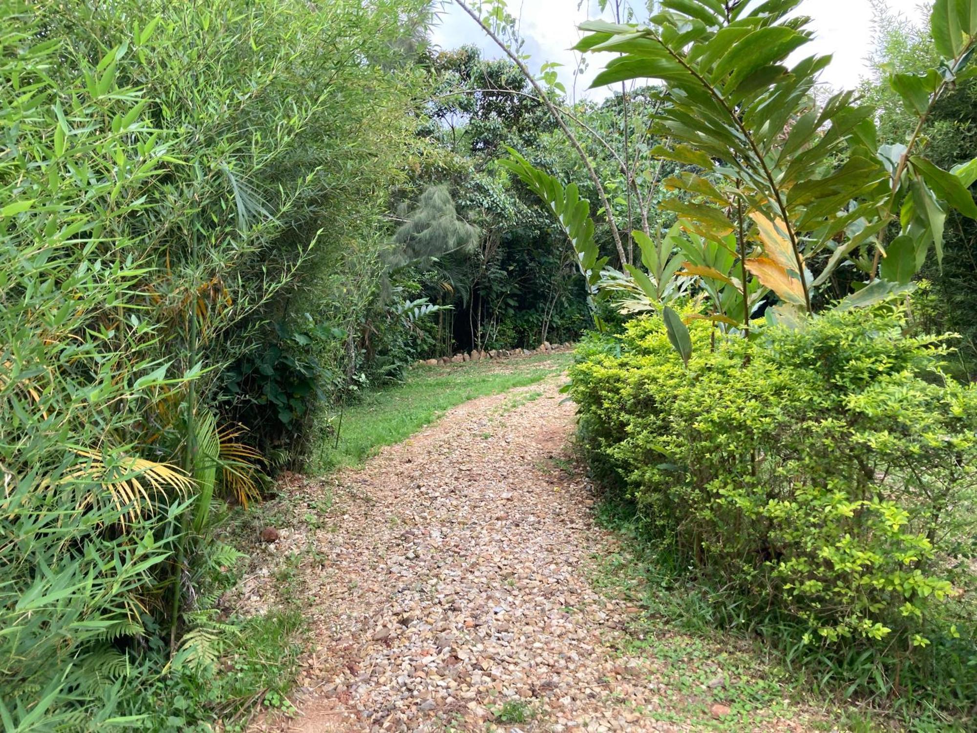 Bwindi Guest House Kanungu エクステリア 写真