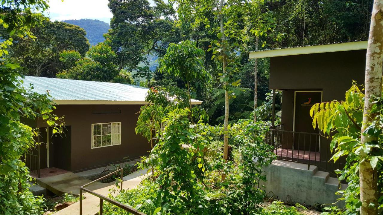 Bwindi Guest House Kanungu エクステリア 写真