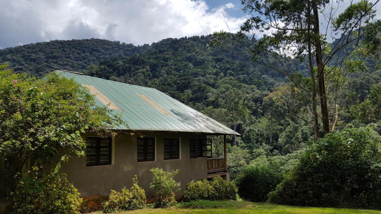 Bwindi Guest House Kanungu エクステリア 写真