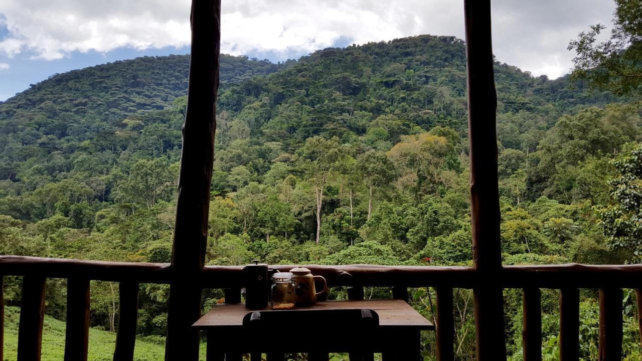 Bwindi Guest House Kanungu エクステリア 写真