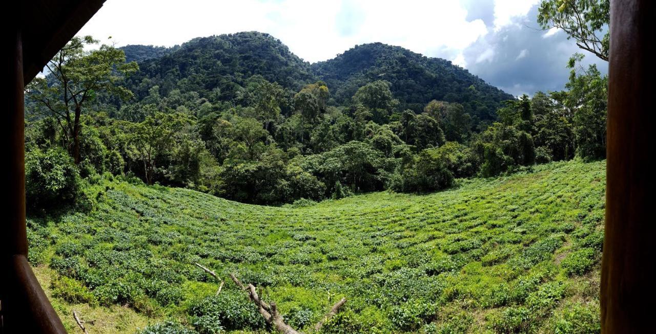 Bwindi Guest House Kanungu エクステリア 写真